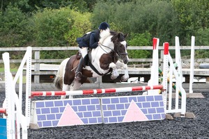 Class 6 - Fences not above 2'9